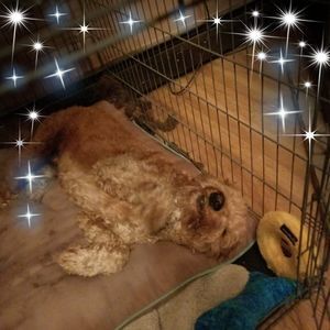 Meet your Posher, Deborah